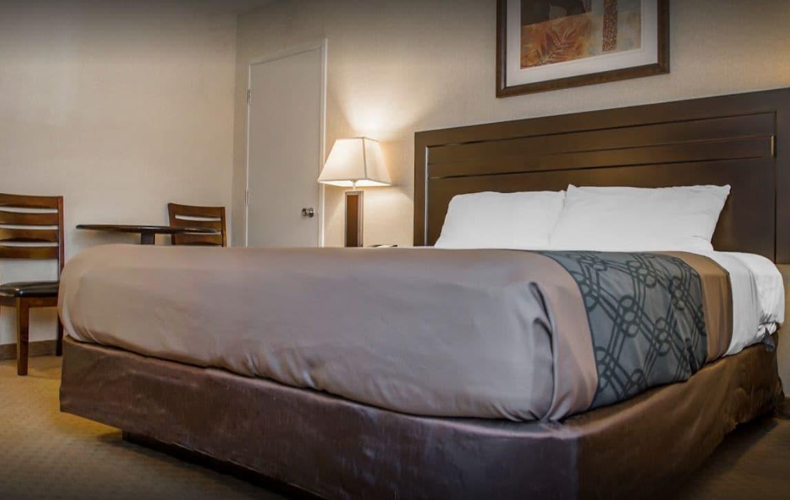 New Lodge Winnipeg Eksteriør billede