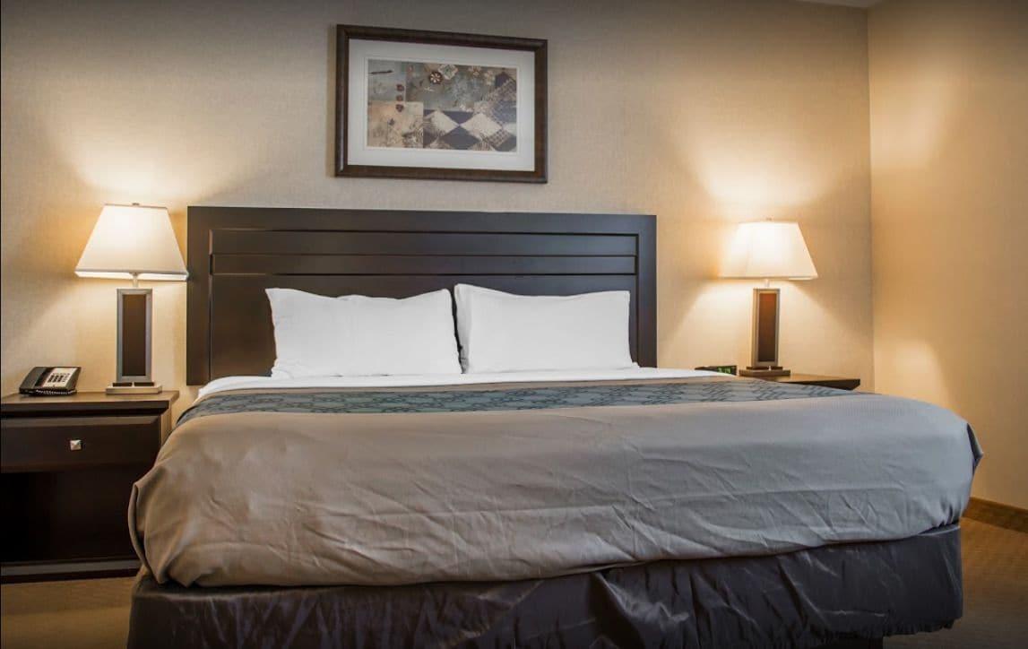 New Lodge Winnipeg Eksteriør billede