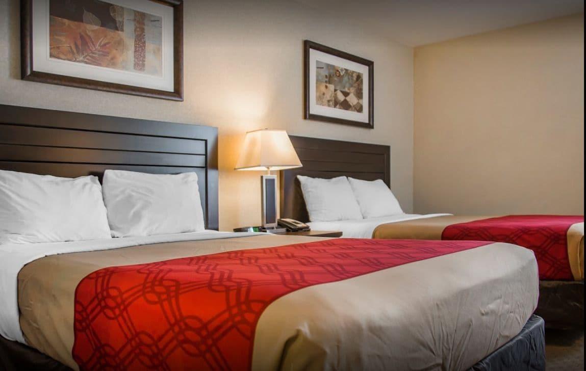 New Lodge Winnipeg Eksteriør billede